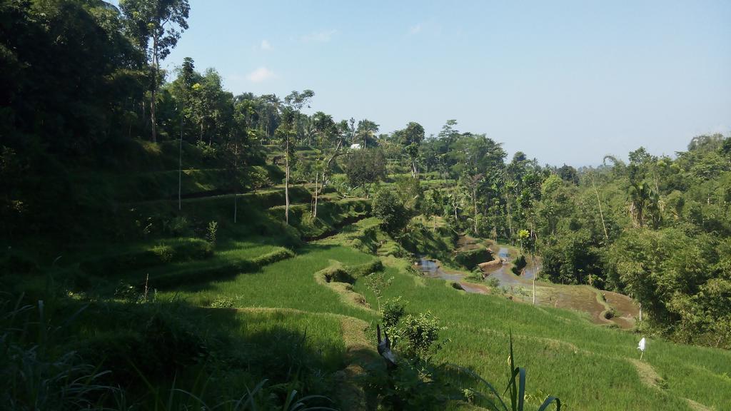 Tetebatu Indah Homestay Exterior foto